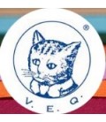 Gato